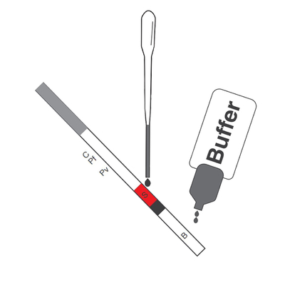 El CE del casete de la malaria P.F/P.V Antigen Rapid Test (oro coloidal) registrado para la clínica del hospital diagnostica